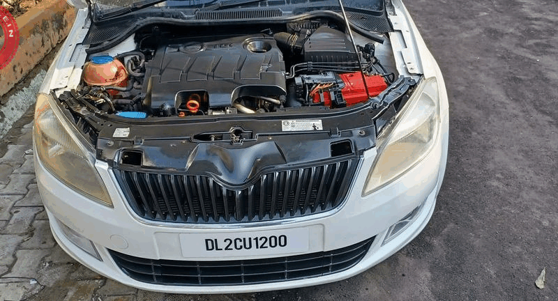 skoda rapid–8076300288