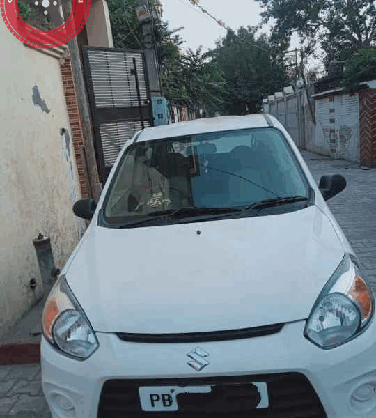 Alto 800